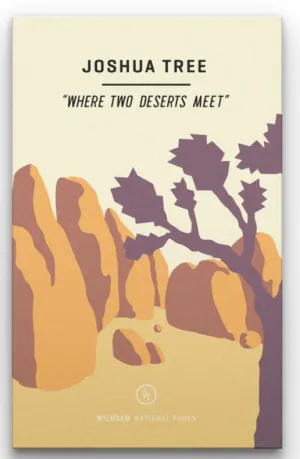 Joshua Tree-National Parks