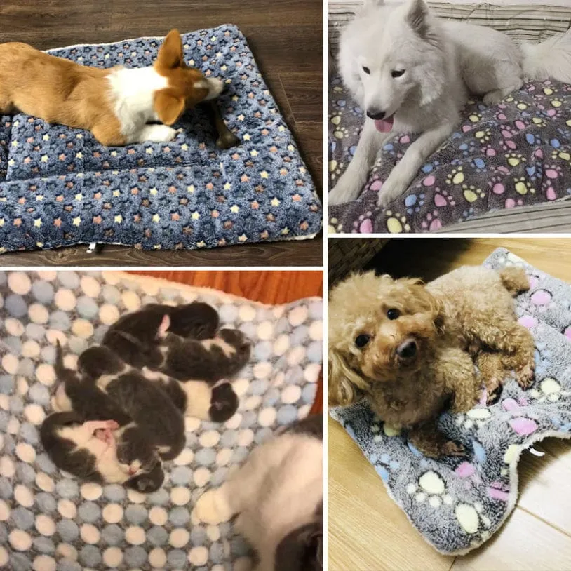 Keydrela Pet Blanket Bed