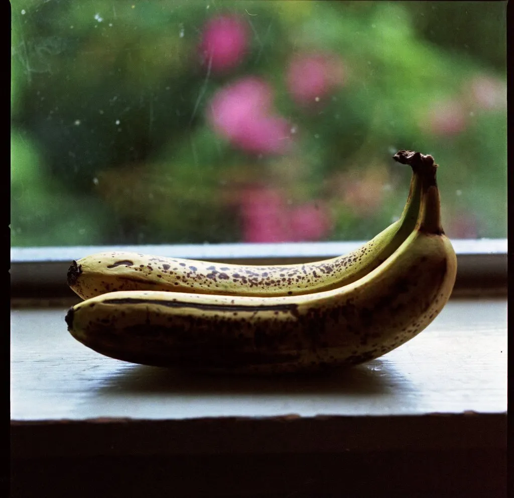 Kodak Portra 800 - 120 Film - EXPIRED