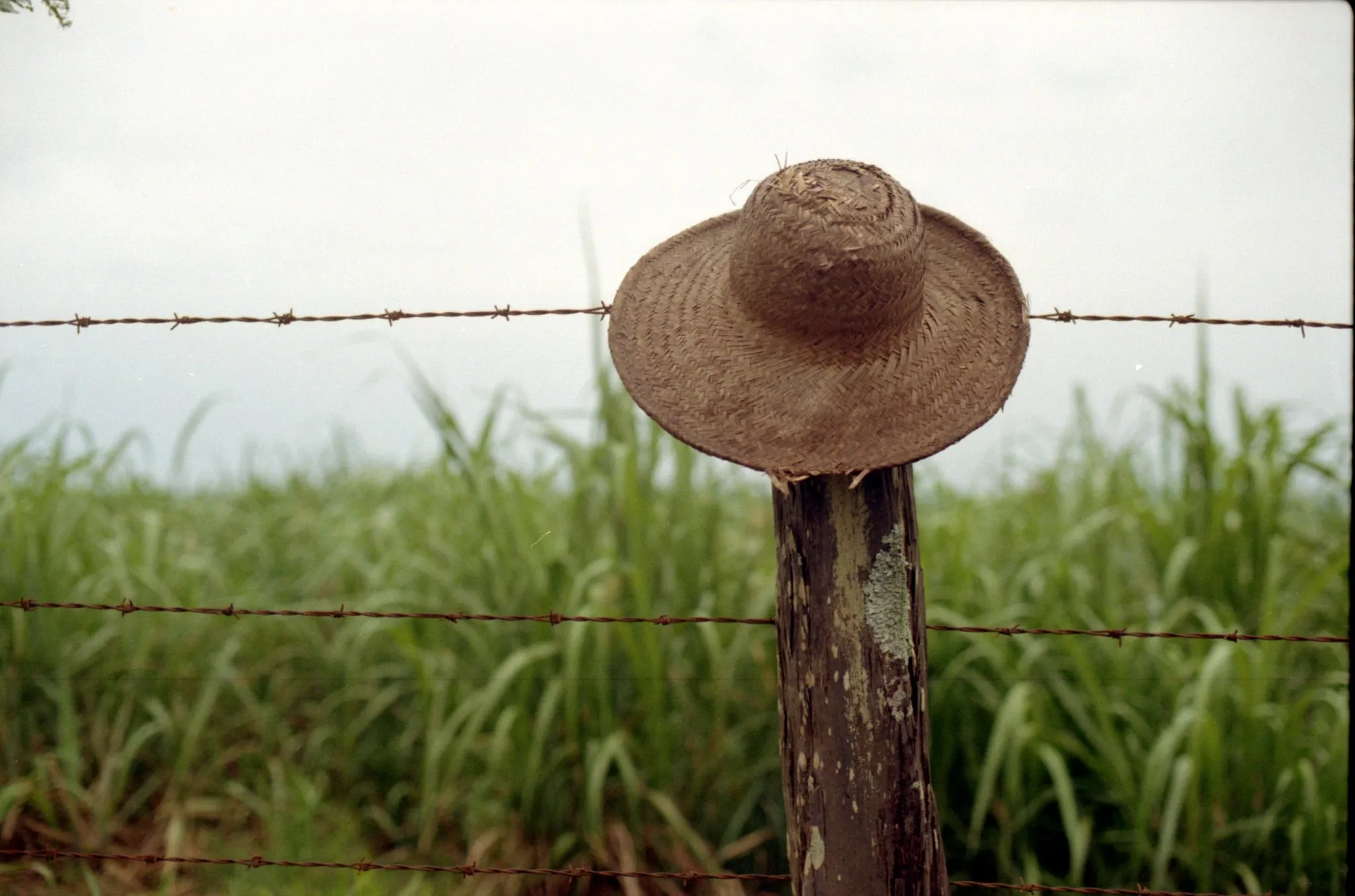 Kodak Pro Image 100 - 35mm Film