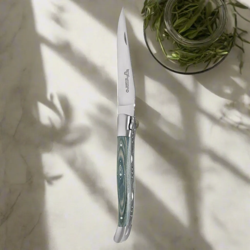 Laguiole en Aubrac Handcrafted 6-Piece Steak Knife Set with Mixed Pakawood Handles, Stainless Steel Matte Bolsters