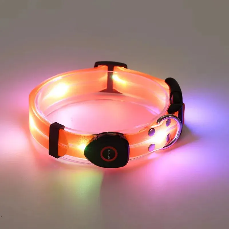 LED Light Up Dog Leash