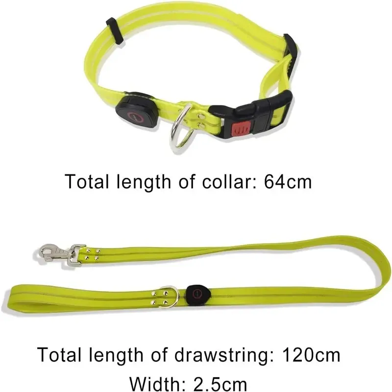 LED Light Up Dog Leash