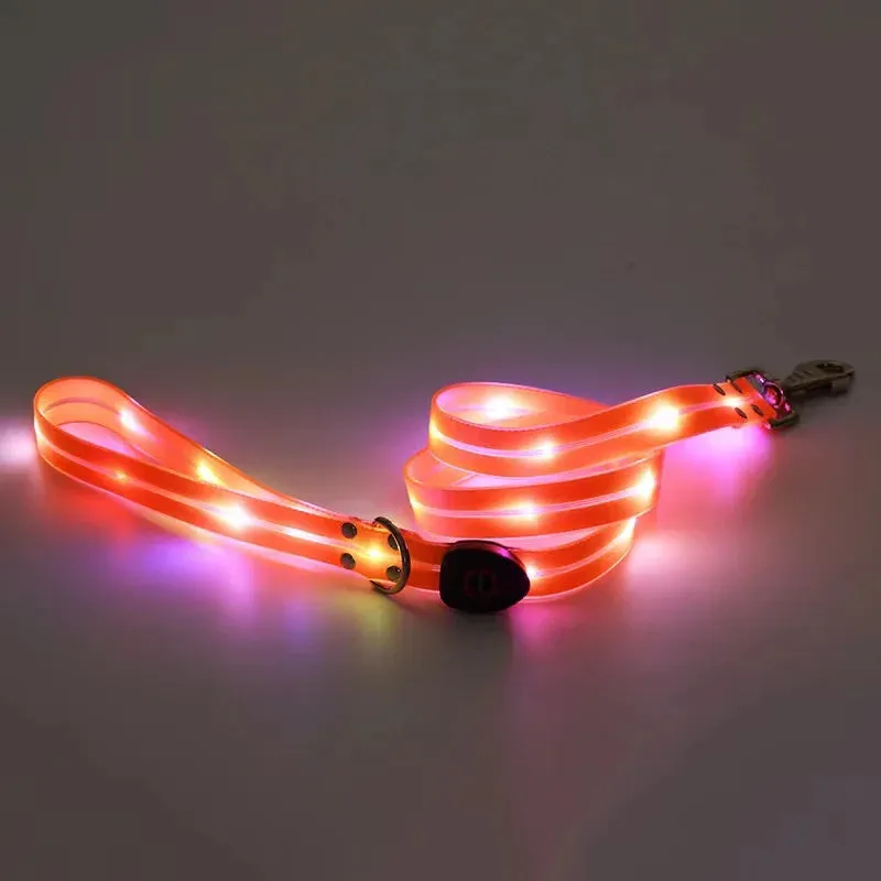LED Light Up Dog Leash