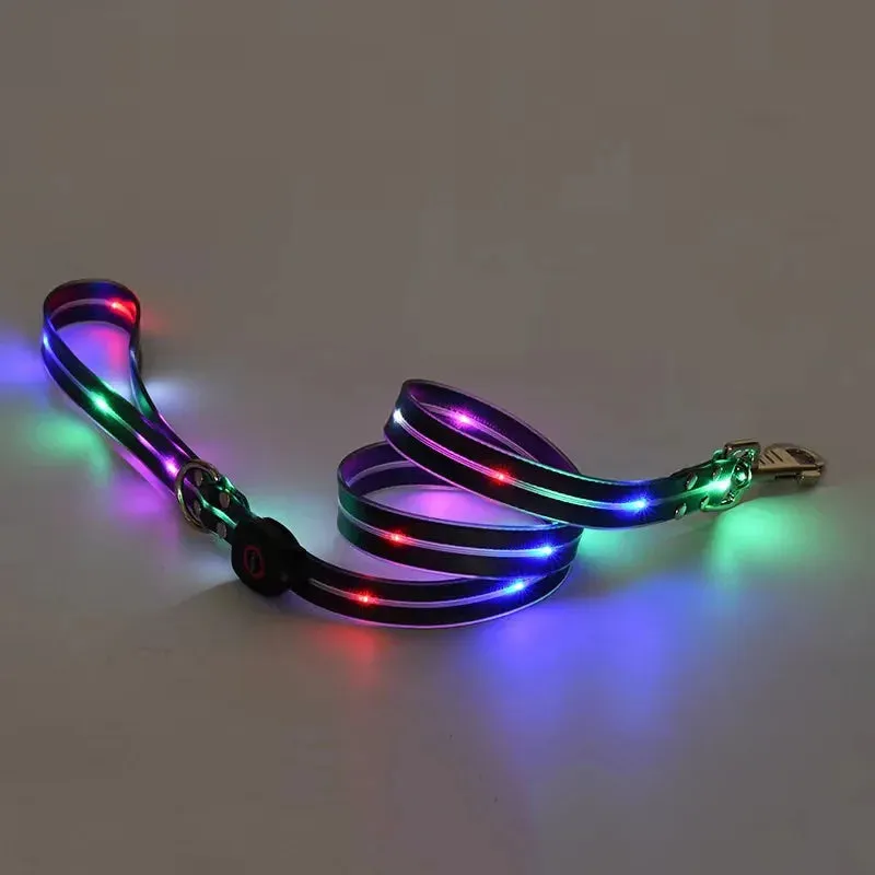 LED Light Up Dog Leash