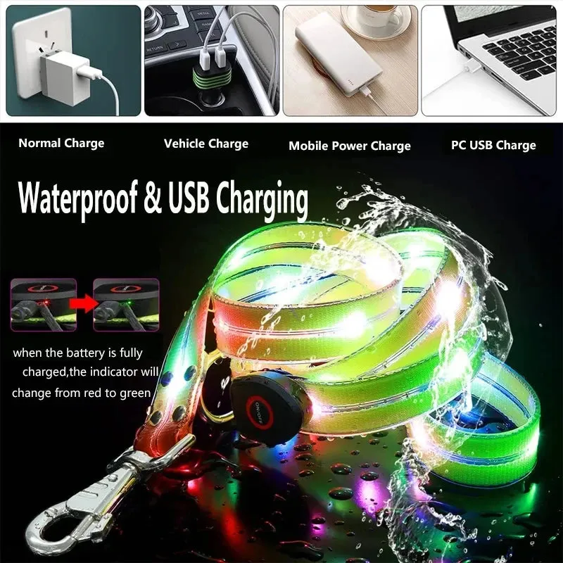 LED Light Up Dog Leash
