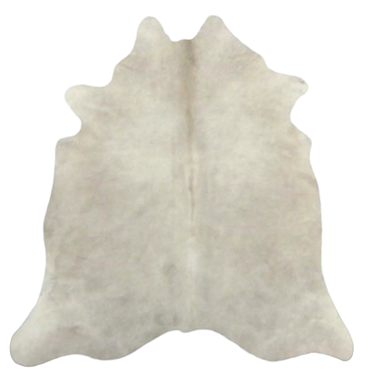 Light Champagne Premium Brazilian Hide, XL CH58N R