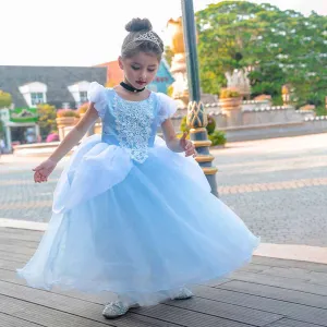 Little Girl Cinderela Princess Dress Halloween Gala Prom
