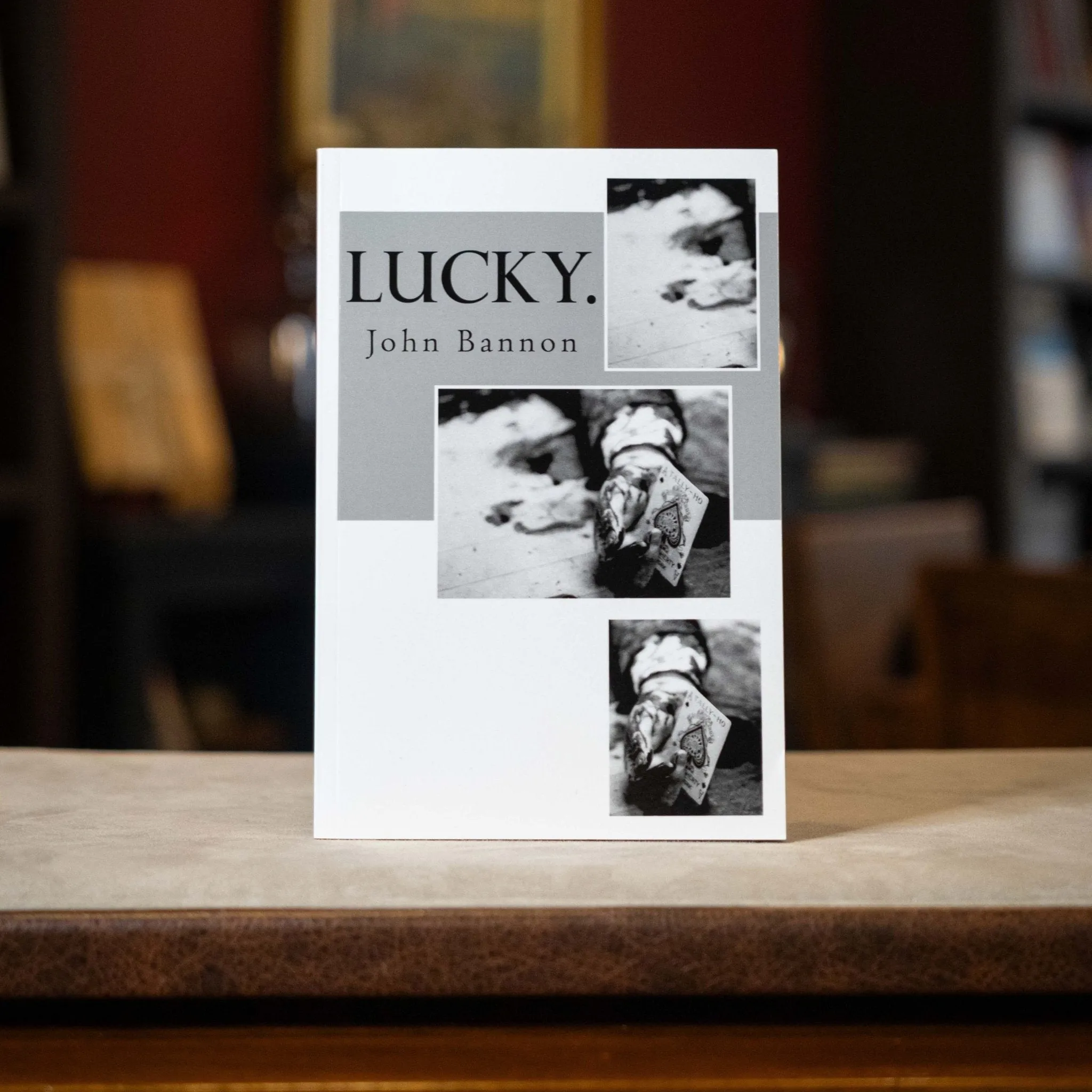 Lucky by John Bannon