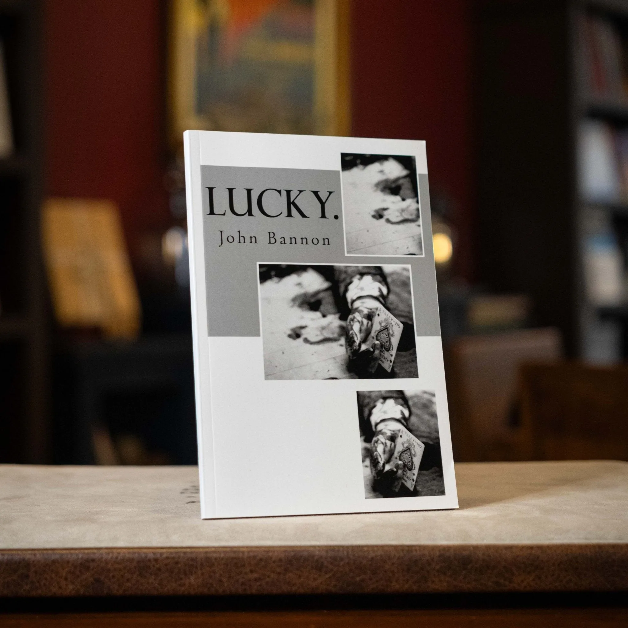 Lucky by John Bannon