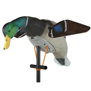 Lucky Duck Lucky HD Decoy