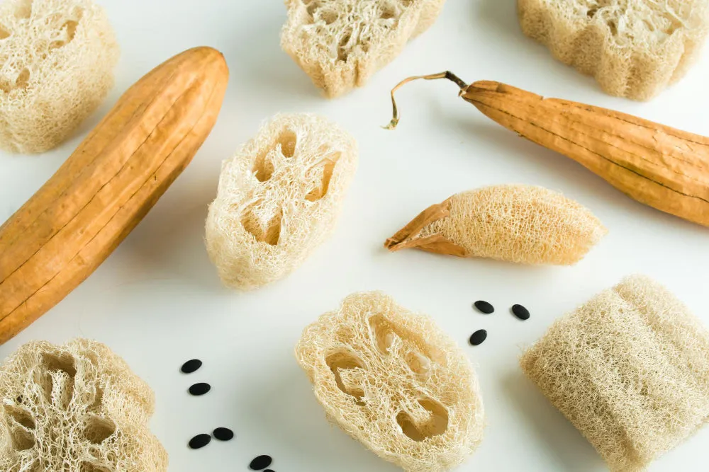 Luffa Gourd Seeds