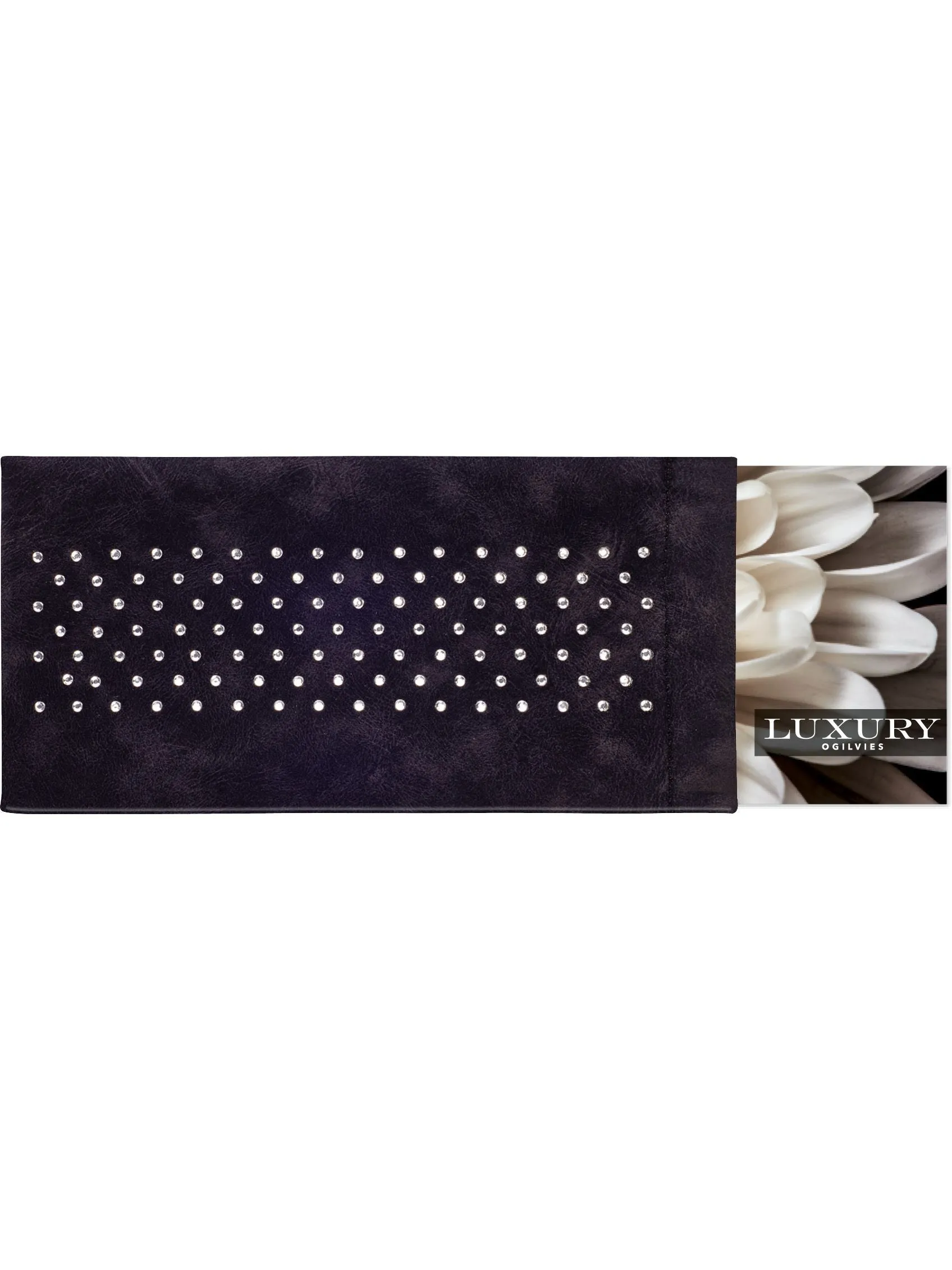 Luxury Glasses Case with Cleaning Cloth