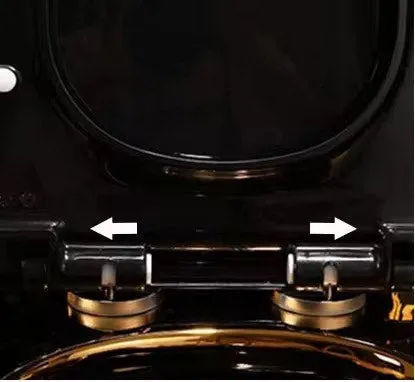 Luxury Modern Style Bathroom Seat Toilet Dual Flush Bathroom Ceramic Black Gold Floor Mounted