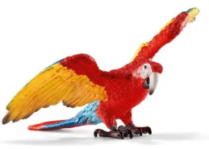 Macaw