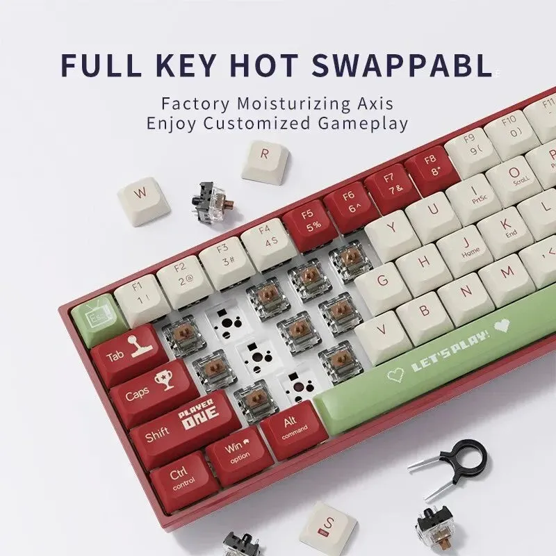 Mechanical Keyboard Gaming Wired Compact 68 Keys