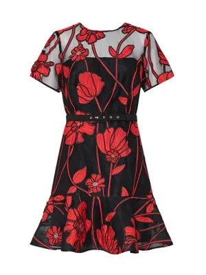 Milly Rosie Grand Fleur Embroidered Dress in Red