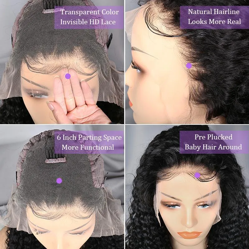 Modern Show 13x6 HD Lace Wig Curly Human Hair Luxury Natural Wig With Baby Hair