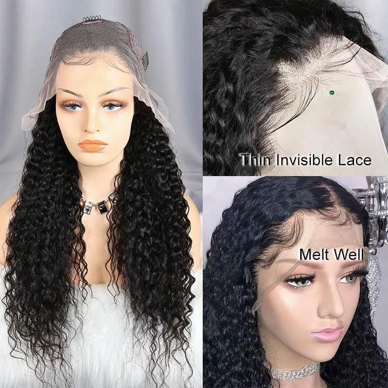 Modern Show 13x6 HD Lace Wig Curly Human Hair Luxury Natural Wig With Baby Hair