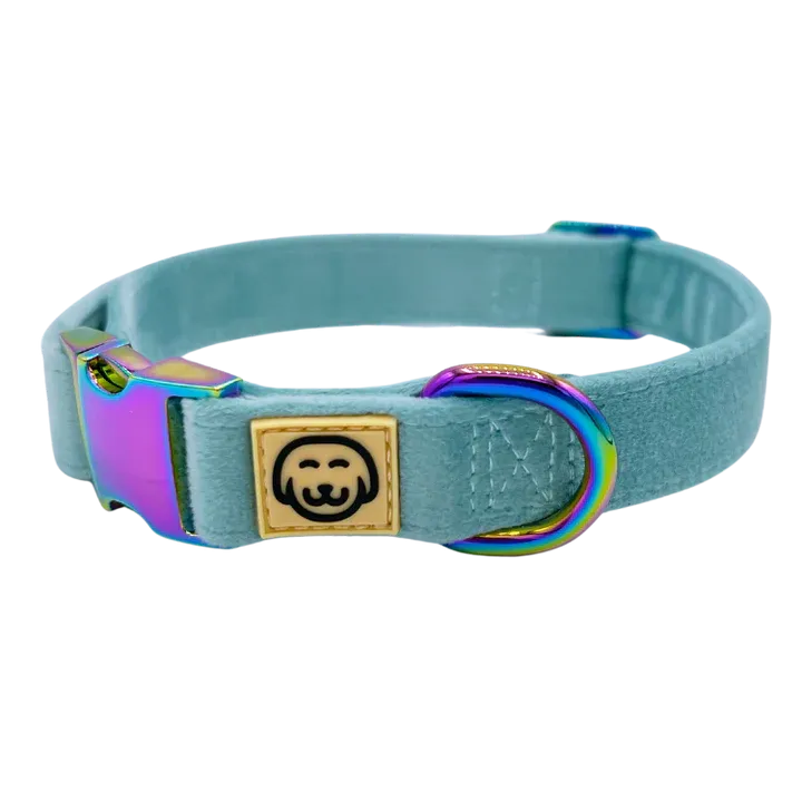 MOLLY & CO. - Collar- Molly Velvet