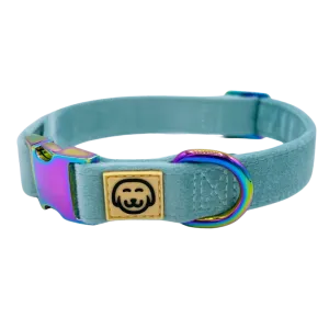 MOLLY & CO. - Collar- Molly Velvet