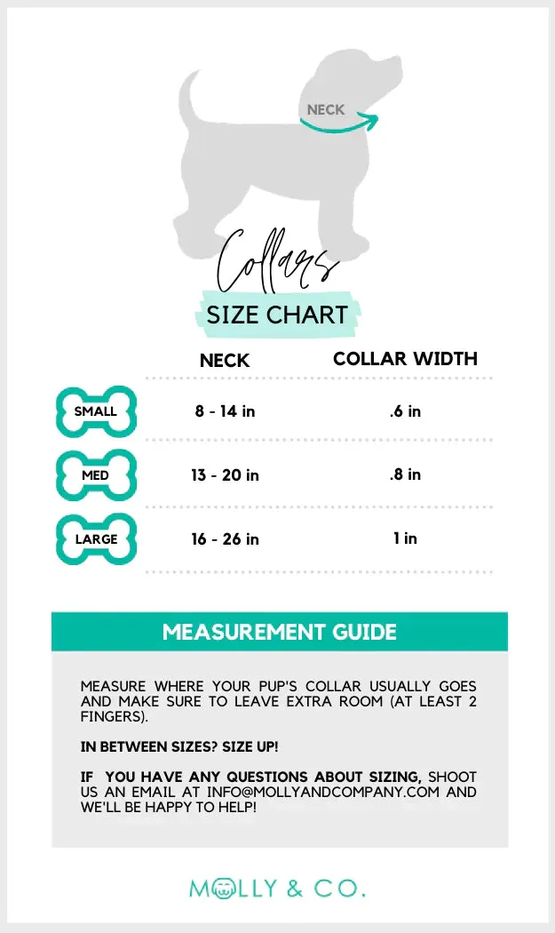 MOLLY & CO. - Collar- Molly Velvet