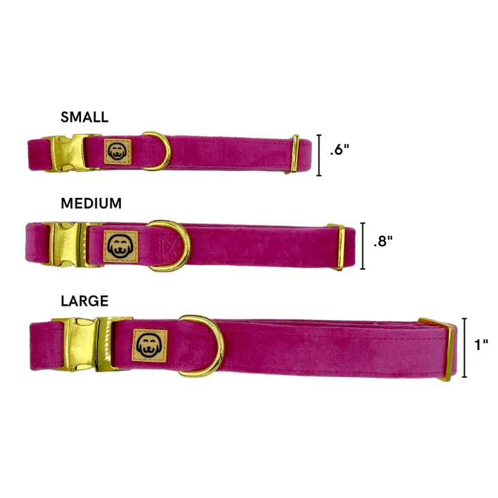 MOLLY & CO. - Collar- Rose Velvet