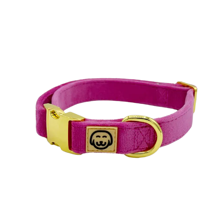 MOLLY & CO. - Collar- Rose Velvet