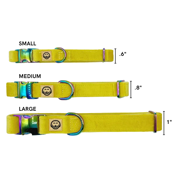 MOLLY & CO. - Collar- Sunshine Velvet