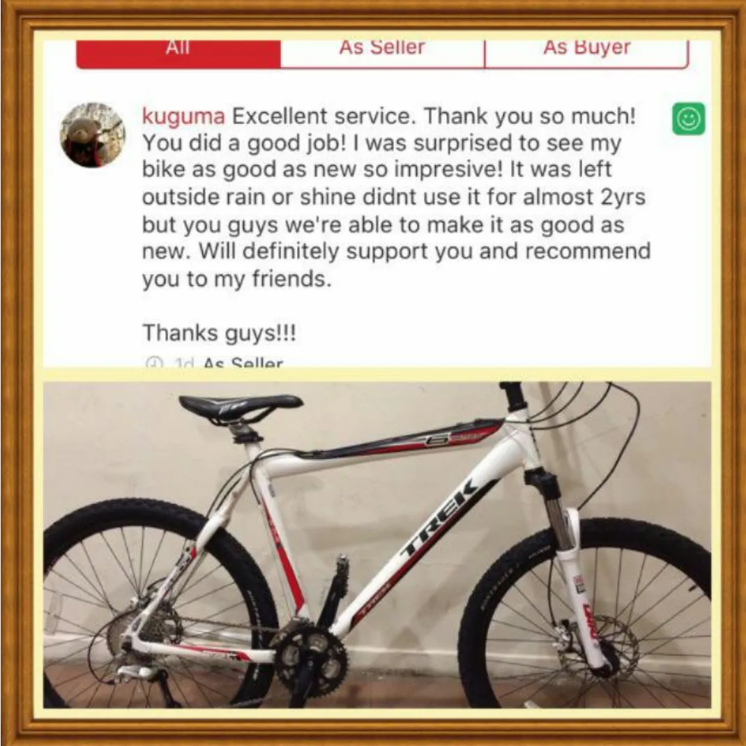 Mountain bike Restoration / SPA Grooming / Bicycle Servicing / DE rust / Refurbishment