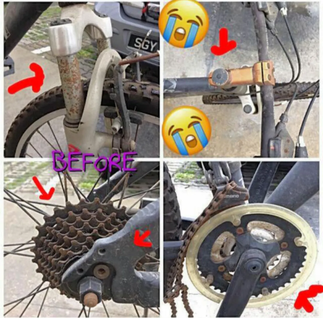 Mountain bike Restoration / SPA Grooming / Bicycle Servicing / DE rust / Refurbishment