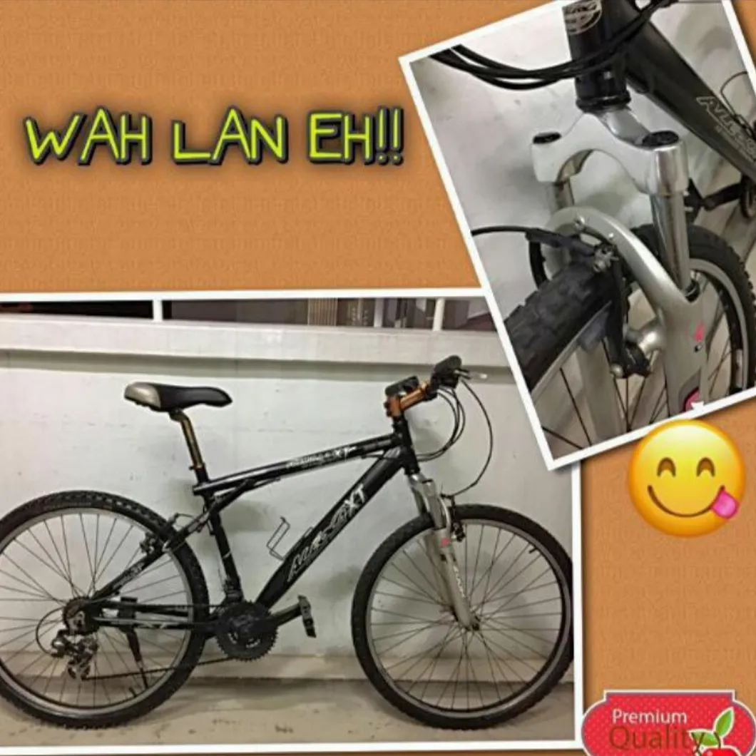 Mountain bike Restoration / SPA Grooming / Bicycle Servicing / DE rust / Refurbishment
