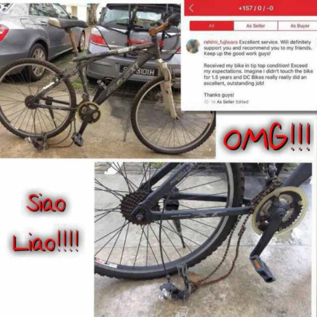 Mountain bike Restoration / SPA Grooming / Bicycle Servicing / DE rust / Refurbishment