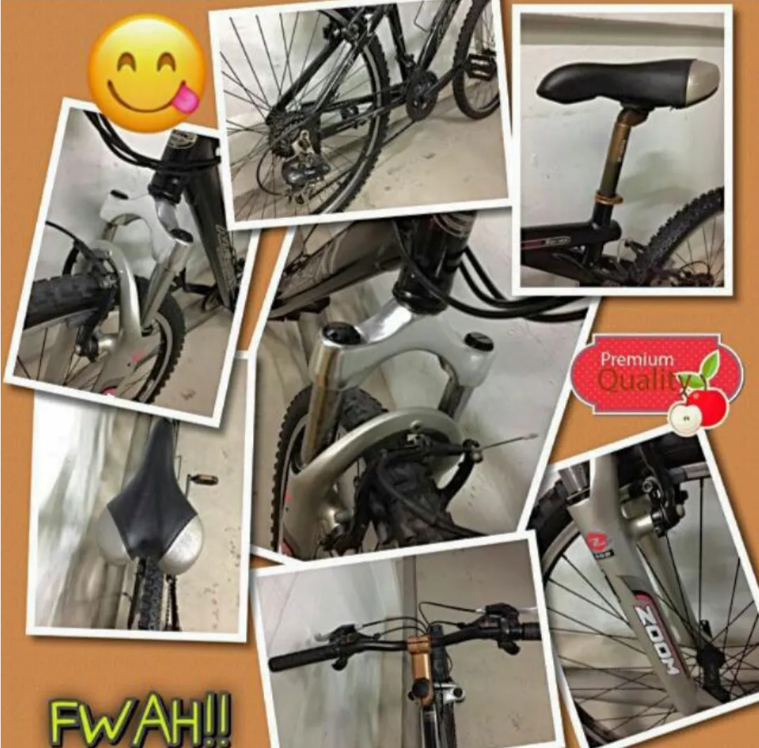Mountain bike Restoration / SPA Grooming / Bicycle Servicing / DE rust / Refurbishment