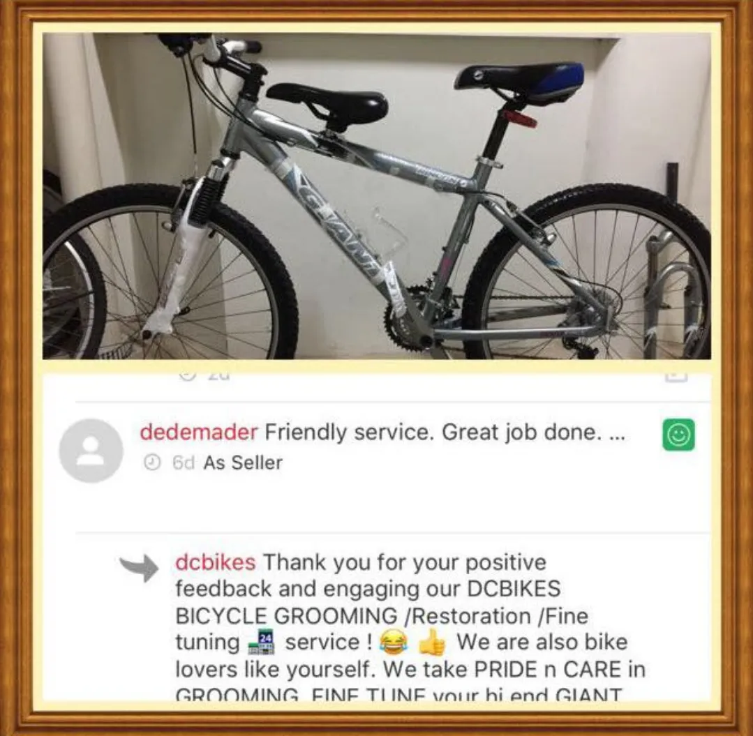 Mountain bike Restoration / SPA Grooming / Bicycle Servicing / DE rust / Refurbishment