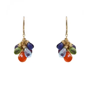 Multi Color Gemstone E368 Earrings