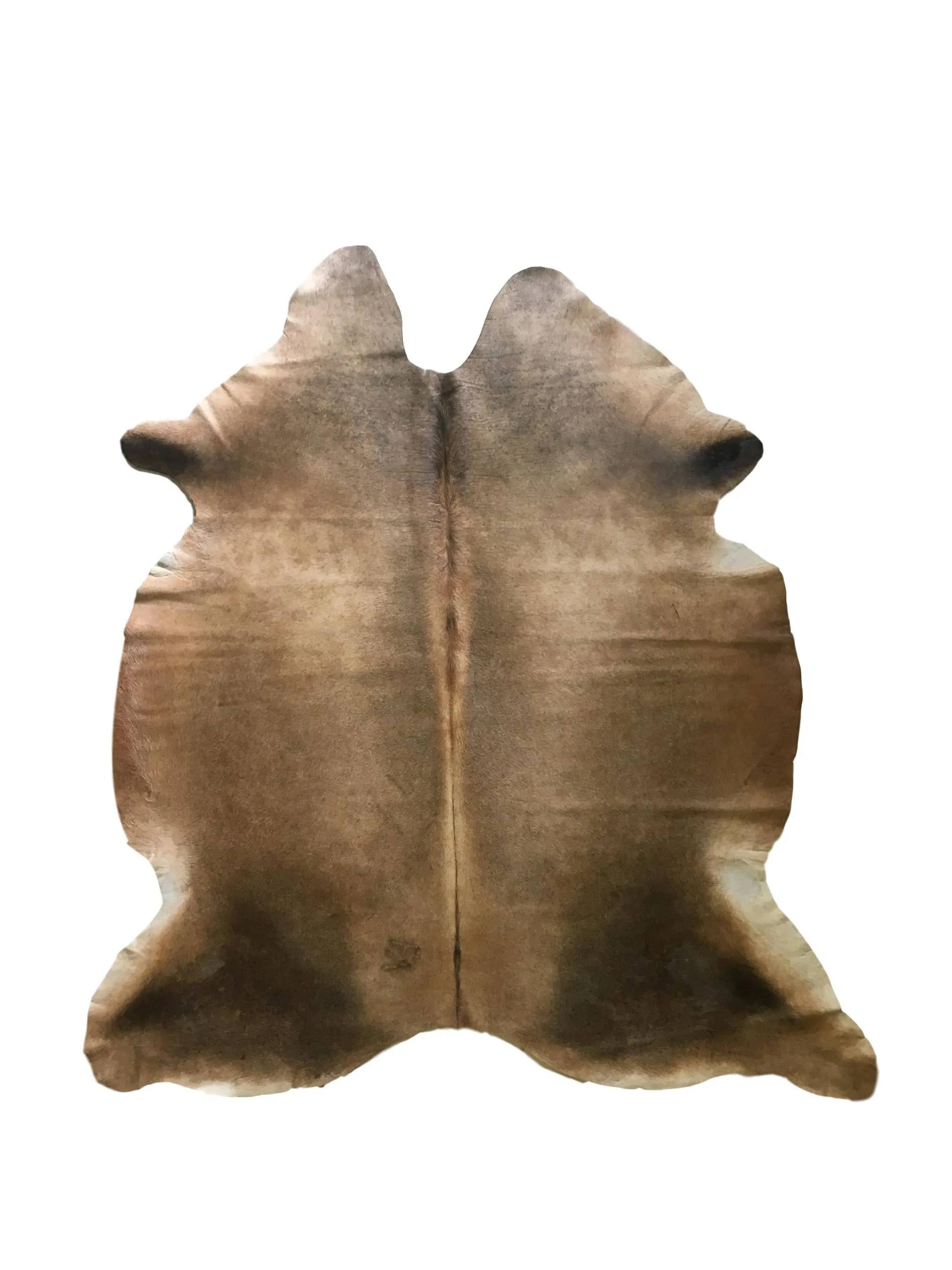 Nelore Brown Premium Brazilian Hide, XL CH72N W