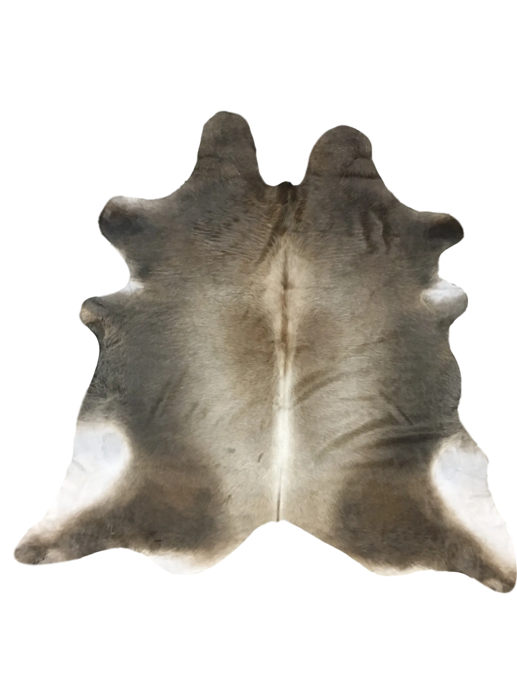 Nelore Premium Brazilian Hide, XL CH70N V