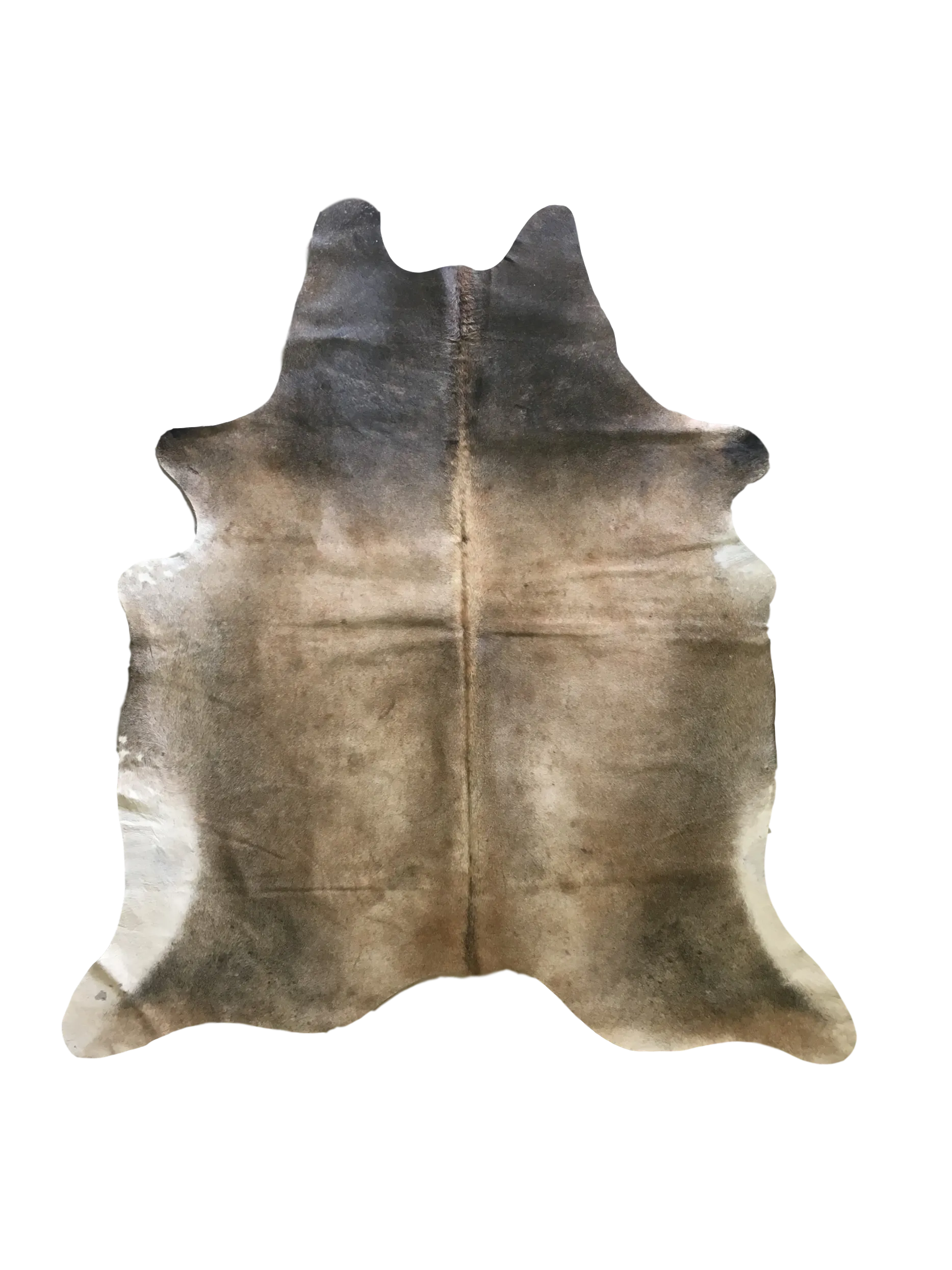Nelore Premium Brazilian Hide, XL CH70N V
