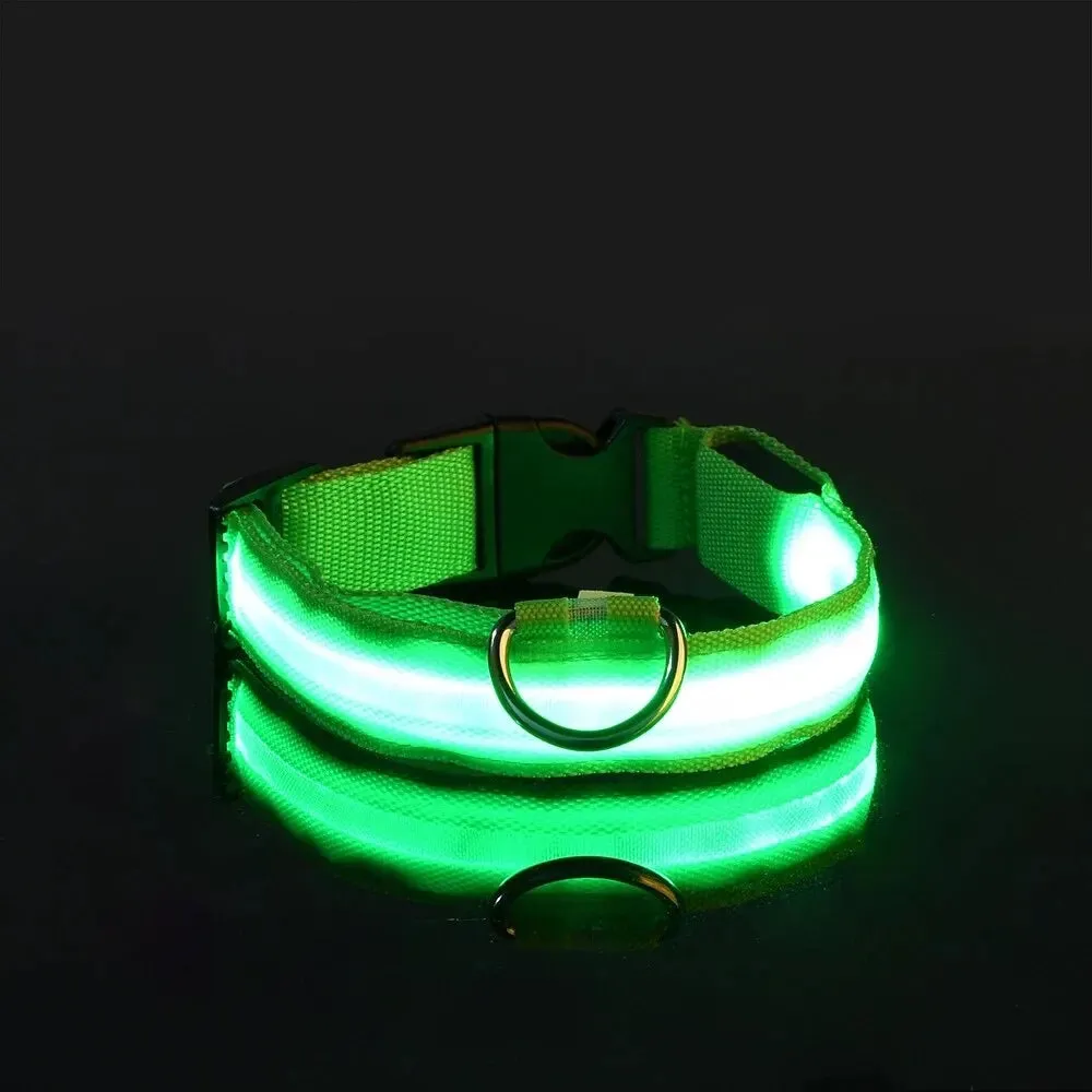 Nylon LED Night Safety Flashing Dog Leash