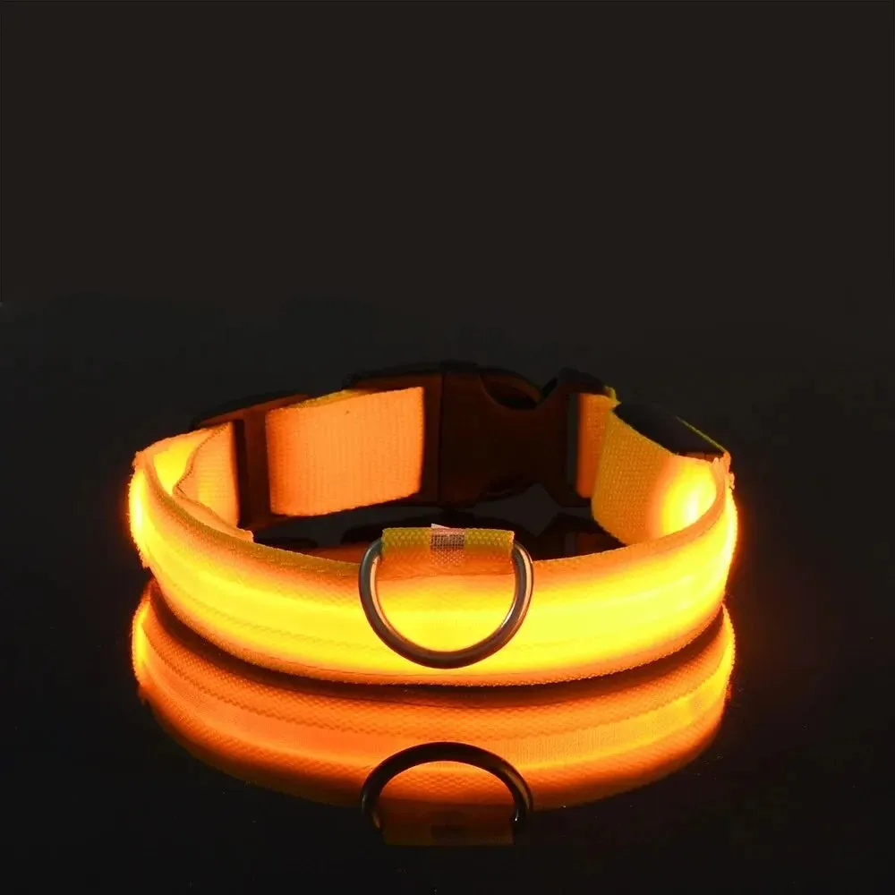 Nylon LED Night Safety Flashing Dog Leash