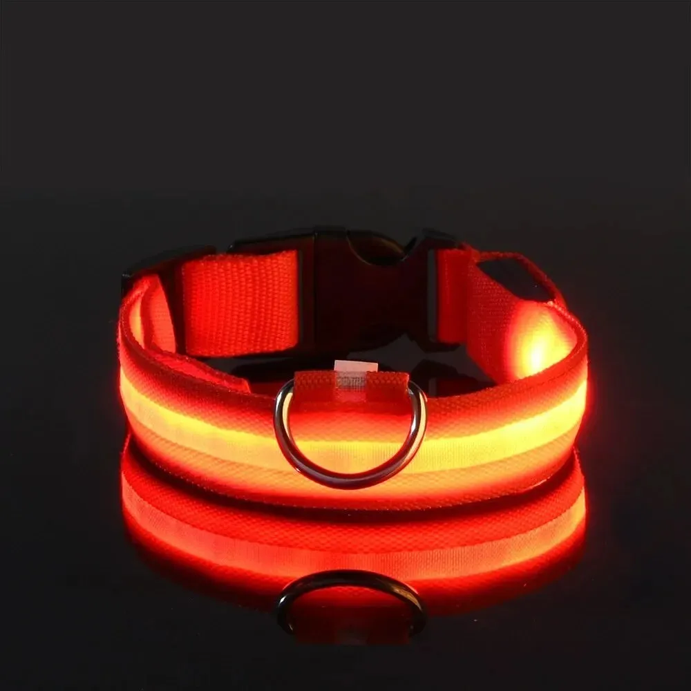 Nylon LED Night Safety Flashing Dog Leash