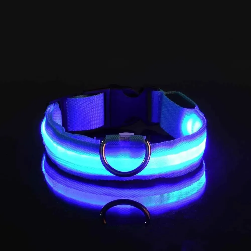 Nylon LED Night Safety Flashing Dog Leash