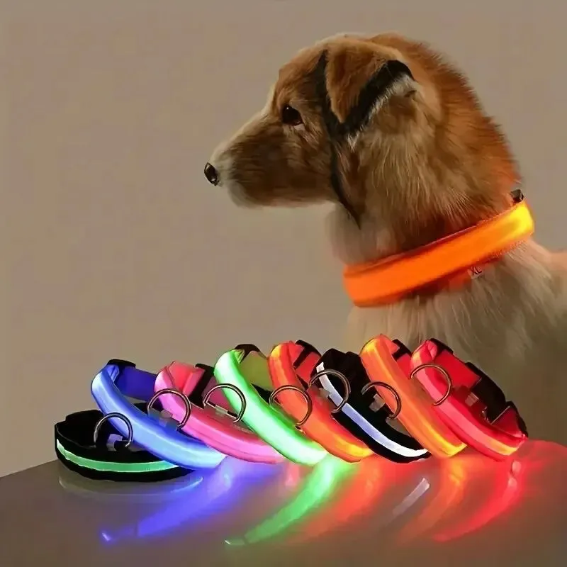 Nylon LED Night Safety Flashing Dog Leash