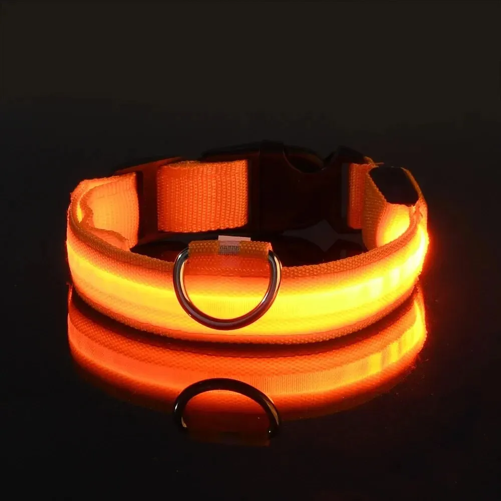Nylon LED Night Safety Flashing Dog Leash
