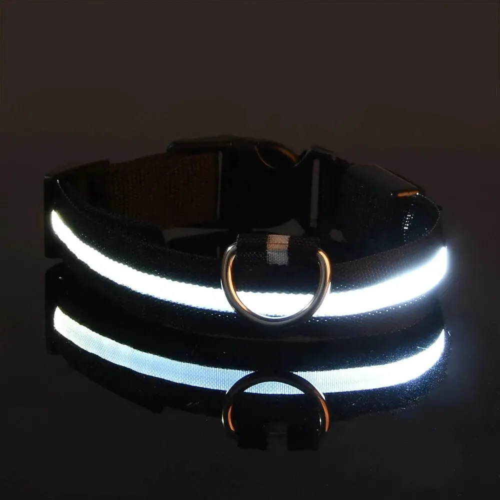 Nylon LED Night Safety Flashing Dog Leash