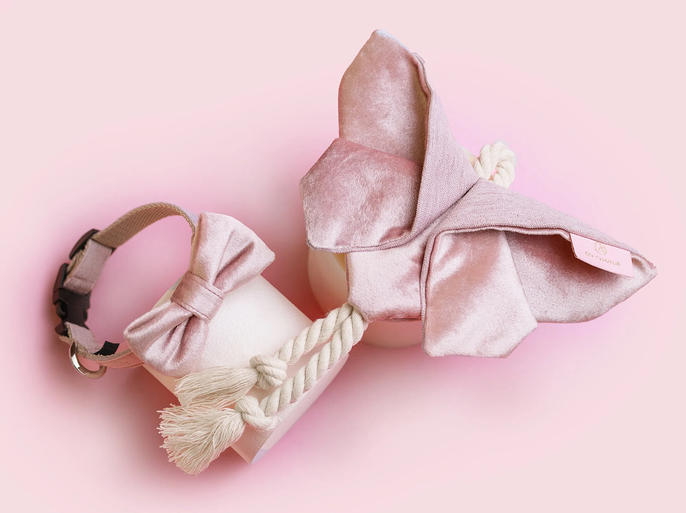 Oh Charlie Dog Toy Butterfly LaPerla