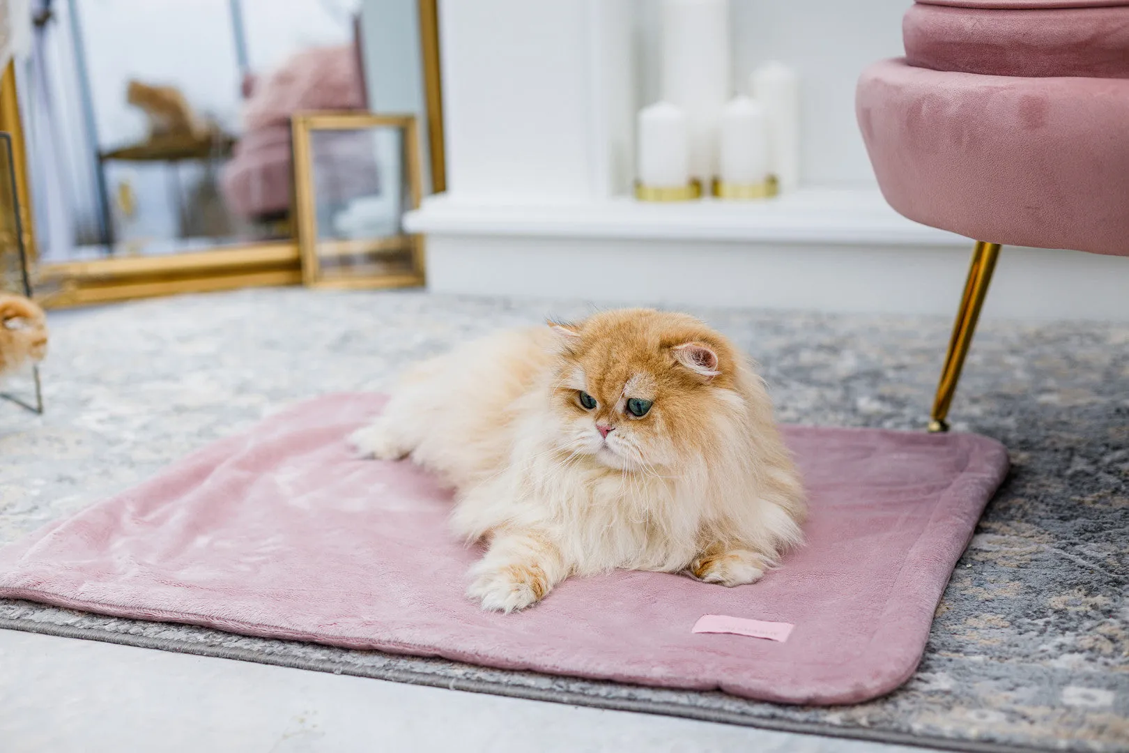Oh Charlie Pet Blanket Magic