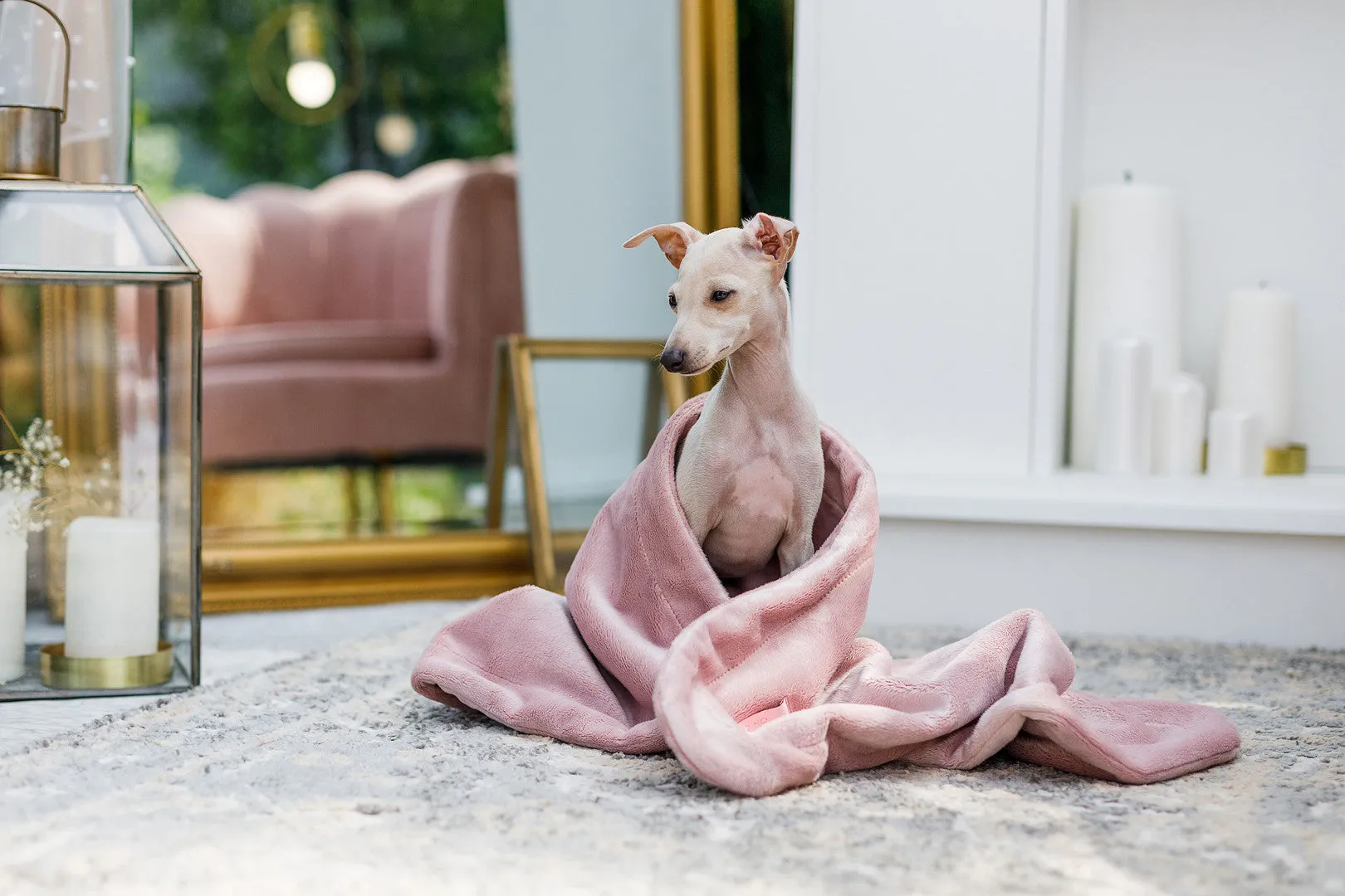 Oh Charlie Pet Blanket Magic