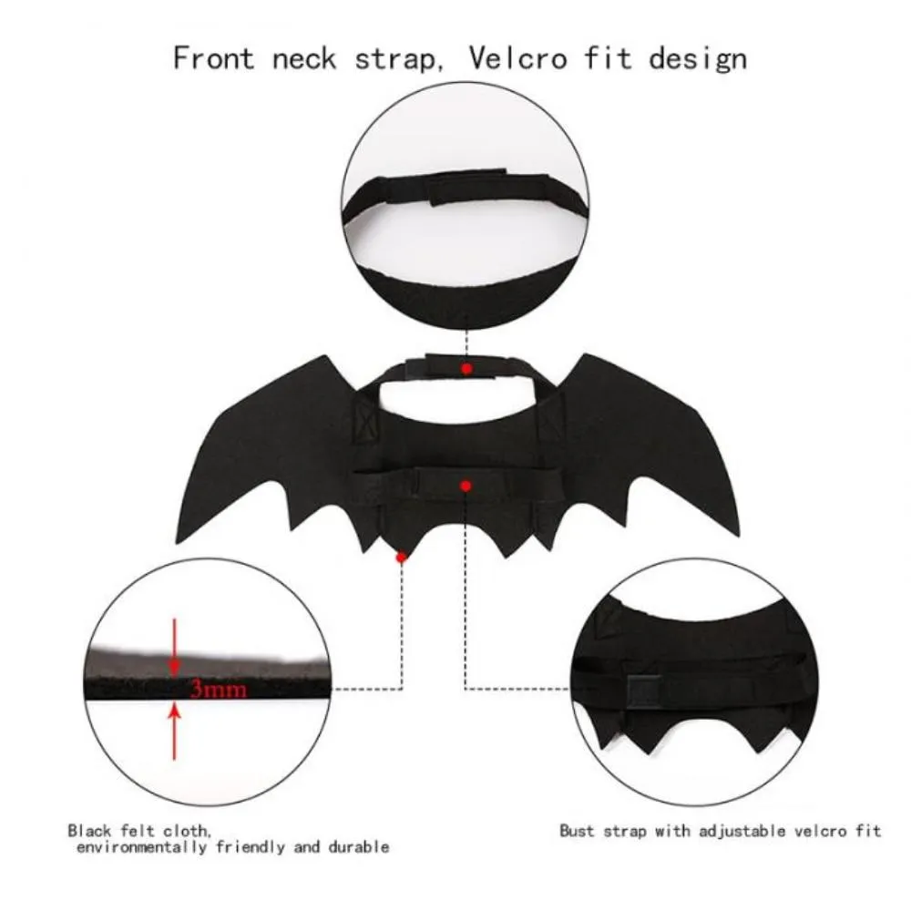 One size fits all cat Bat winged costume